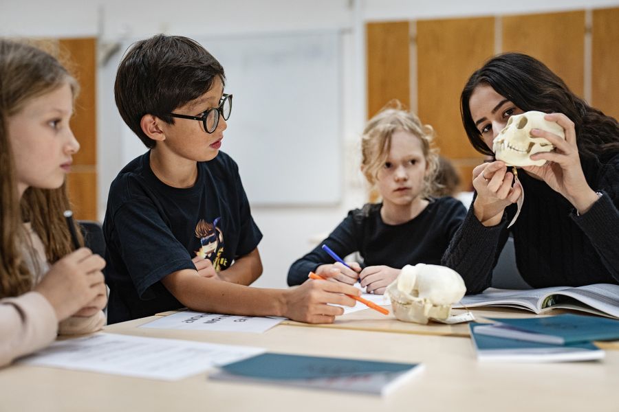 I Videnskabsklubben underviser gymnasieelever folkeskolelever i primatologi 