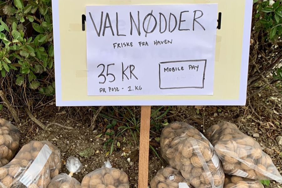 Valnødder til salg på vej i Hvidovre