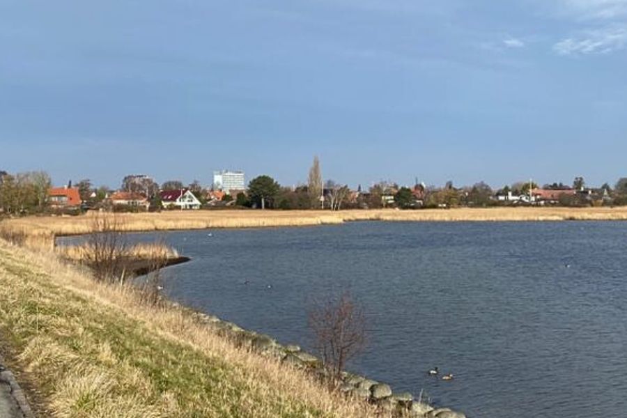 Huse i første række til vandet i Hvidovre risikerer at blive ramt af stormfloder