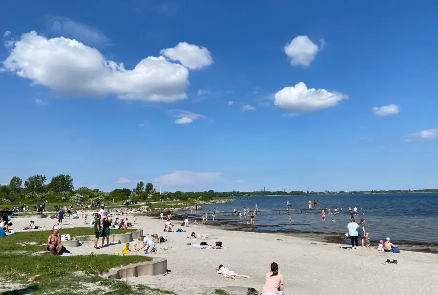Det sker i Hvidovre, stranden